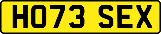 HO73SEX