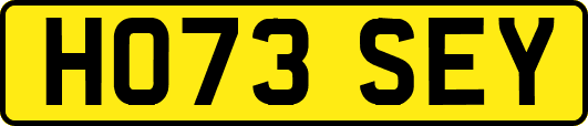 HO73SEY