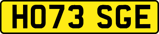 HO73SGE