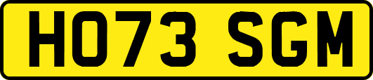 HO73SGM