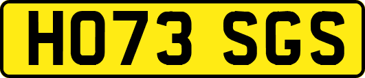HO73SGS