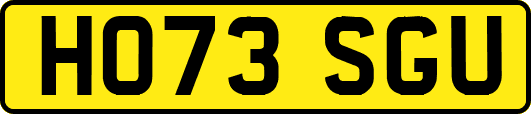 HO73SGU
