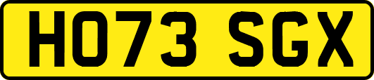HO73SGX