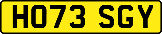 HO73SGY