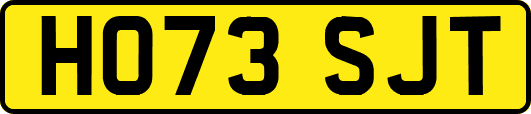 HO73SJT