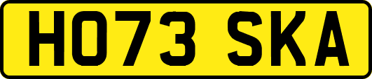 HO73SKA