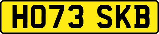HO73SKB