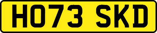 HO73SKD