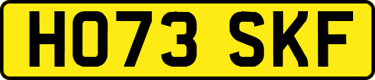HO73SKF
