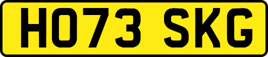 HO73SKG