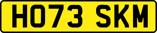 HO73SKM