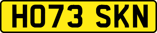 HO73SKN