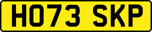 HO73SKP