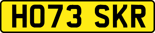HO73SKR