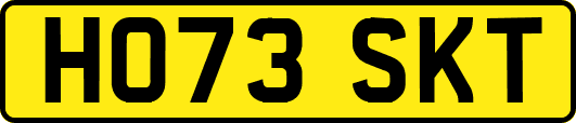 HO73SKT