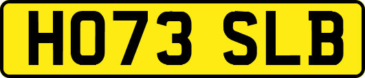 HO73SLB