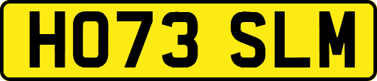 HO73SLM