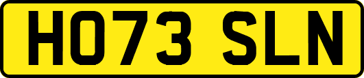 HO73SLN