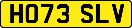 HO73SLV