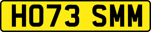 HO73SMM