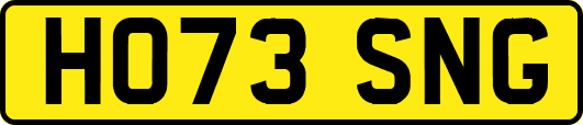 HO73SNG