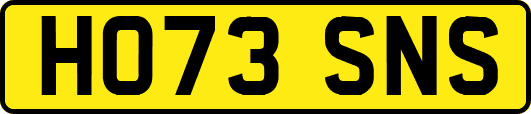 HO73SNS