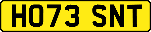 HO73SNT