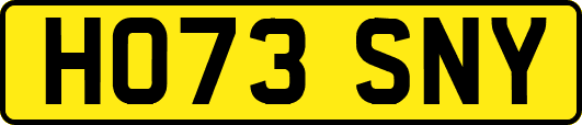 HO73SNY