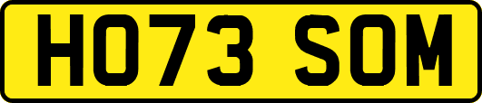 HO73SOM