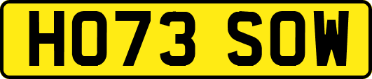 HO73SOW