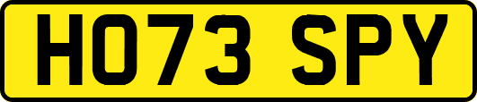 HO73SPY