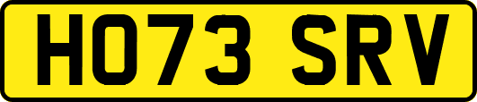 HO73SRV