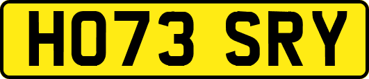 HO73SRY