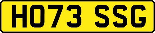 HO73SSG
