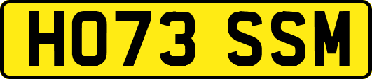 HO73SSM