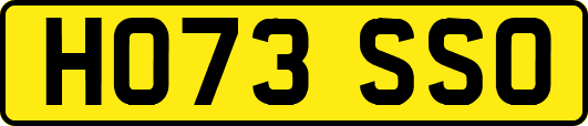 HO73SSO