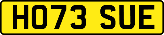 HO73SUE