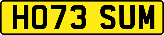 HO73SUM