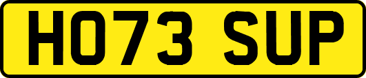 HO73SUP