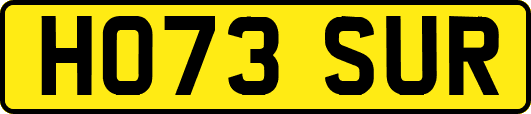 HO73SUR