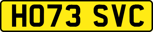 HO73SVC