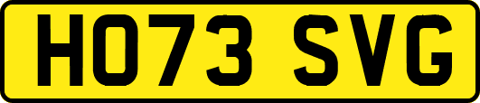 HO73SVG