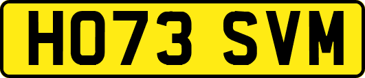 HO73SVM