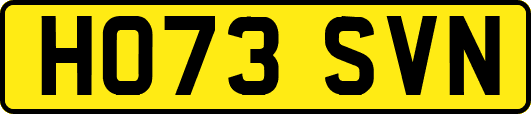 HO73SVN