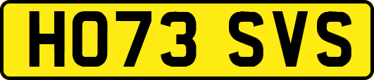HO73SVS