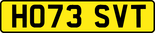 HO73SVT