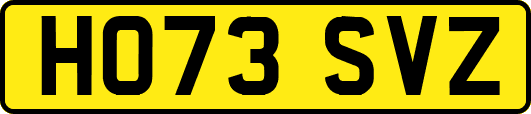 HO73SVZ