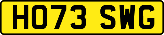 HO73SWG