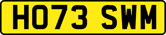 HO73SWM