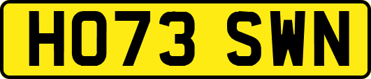 HO73SWN